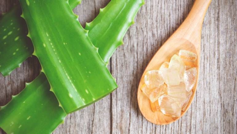 aloe vera leaves and gel. face pack at home